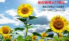 ֹ,󷨵ӹףʦ(25)