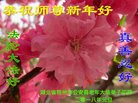 ֹ,󷨵ӹףʦ(26)