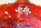 ֹ,󷨵ӹףʦ(20)