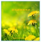 法轮功,秦皇岛大法弟子恭祝师尊新年好(21条)