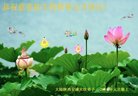 ֹ,󷨵ӹףʦ(24)