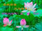 ֹ,ɶ󷨵ӹףʦ(20)