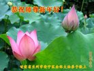 ֹ,󷨵ӹףʦ(21)