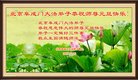 ֹ,󷨵ӹףʦ(21)