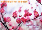 ֹ,󷨵ӹףʦ(20)