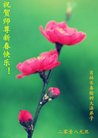 ֹ,󷨵ӹףʦ(20)