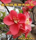 ֹ,ʡ󷨵ӹףʦ(25)