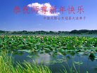 法轮功,山东大法弟子恭祝师尊新年好(30条)