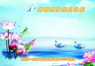 ֹ,󷨵ӹףʦ(24)