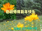 ֹ,󷨵ӹףʦ(27)