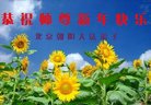 ֹ,󷨵ӹףʦ(20)