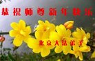 ֹ,󷨵ӹףʦ(20)