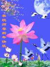 ֹ,󷨵ӹףʦ(24)