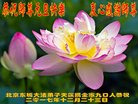 法轮功,北京大法弟子恭祝师尊新年好(17条)