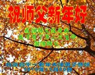 ֹ,󷨵ӹףʦ(17)