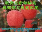 ֹ,󷨵ӹףʦ(17)