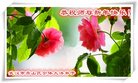 ֹ,󷨵ӹףʦ(23)