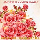 法轮功,成都大法弟子恭祝师尊新年好(22条)