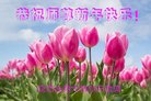 ֹ,ݴ󷨵ӹףʦ(25)