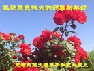 ֹ,󷨵ӹףʦ(22)