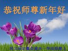 法轮功,保定大法弟子恭祝师尊新年好(21条)