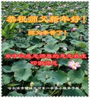 ֹ,󷨵ӹףʦ(25)