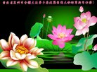 ֹ,ϴ󷨵ӹףʦ(20)