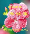 ֹ,д󷨵ӹףʦ(21)