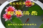 ֹ,д󷨵ӹףʦ(21)