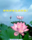 法轮功,重庆大法弟子恭祝师尊新年好(29条)