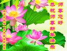 法轮功,山东大法弟子恭祝师尊新年好(24条)