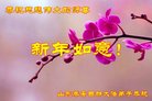 法轮功,山东大法弟子恭祝师尊新年好(24条)