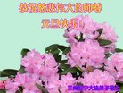 ֹ,Ĵ󷨵ӹףʦ