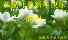 ֹ,󷨵ӹףʦ(20)