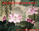 ֹ,󷨵ӹףʦ(29)