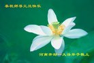 法轮功,河南大法弟子恭祝师尊新年好(20条)