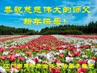 法轮功,广东大法弟子恭祝师尊新年好(28条)