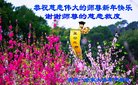ֹ,󷨵ӹףʦ(20)