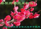 ֹ,ൺ󷨵ӹףʦ(27)