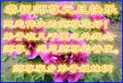 ֹ,󷨵ӹףʦ(22)