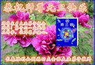 ֹ,󷨵ӹףʦ(22)