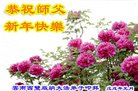 法轮功,云南大法弟子恭祝师尊新年好(22条)