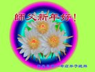 法轮功,秦皇岛大法弟子恭祝师尊新年好(20条)