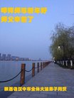 法轮功,陕西大法弟子恭祝师尊新年好(24条)