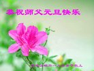 ֹ,󷨵ӹףʦ(19)