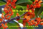 ֹ,Ĵ󷨵ӹףʦ(25)