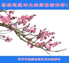 ֹ,󷨵ӹףʦ(24)