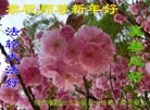 ֹ,󷨵ӹףʦ(23)