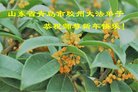 ֹ,ൺ󷨵ӹףʦ(27)