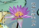 ֹ,󷨵ӹףʦ(20)